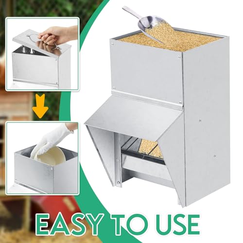 Uiifan 2 Pcs 50 lb Galvanized Chicken Feeder Weatherproof Poultry Metal Food Dispenser with Lid Chicken Duck Food Dispenser Rat Proof Feeder for Poultry Geese Quails Bantams Ducks and Turkey - size: 50 lb