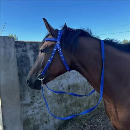 Cattle Halter Thickened Horse Halters Comfortable Adjustable Strap Neck Stretcher Durable Bridle Training Rope for Gentle Control Calves During Grooming - color: Blue-L