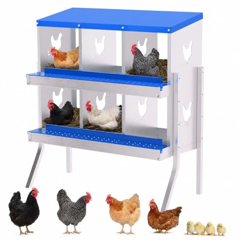 Chicken Nesting Boxes, 6 Compartment Metal Stainless Steel Chicken Laying Boxes with Legs, Easy to Clean and Install, 2-in-1 Wall/Floor Standing, for Hens Outdoor Chicken Coop Farm Yard, Blue - color: Blue, size: 6 holes with legs