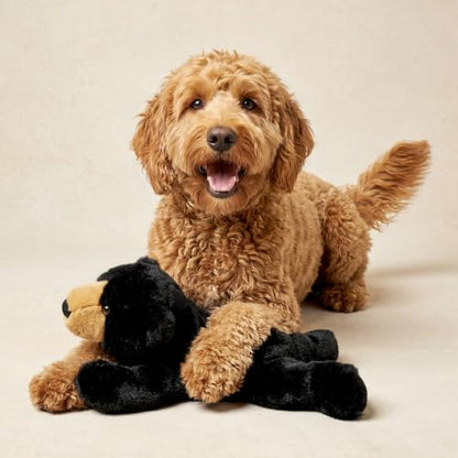 Playology Dog Toys | Plush Bear Stuffed Animal | Blueberry Scented Jumbo Squeaky Dog Toy | Plush Chew Toy for Large Dogs - size: Large, style: Bear