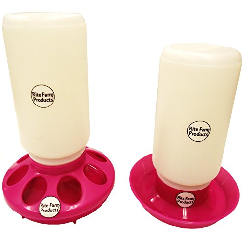 Combo Pink Quart Feeder & Waterer Poultry Chicken Chick