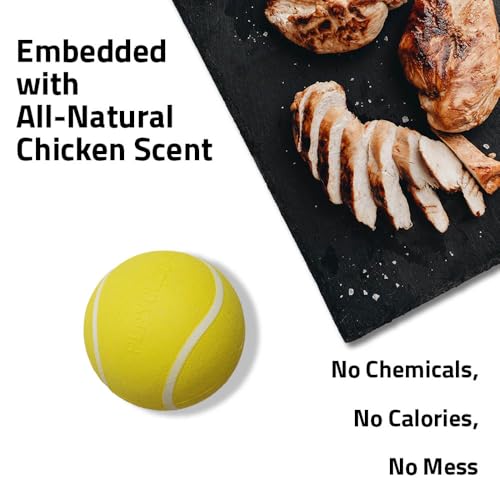 Playology Dog Toys | Squeaky Chew Ball for Dogs, Value 2-Pack | Chicken Scented Medium Dog Balls | Bouncy Floating Chew Toys for Fetch - size: Medium (VALUE 2-Pack), style: Chicken