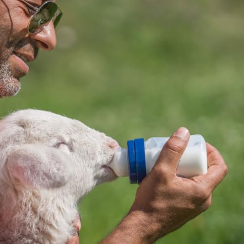 Abaodam 10Pcs Lamb Feeding Nipples Silicone Milk Bottle Pacifiers for Calf Goat Sheep Nursing Replacement Durable Soft Rubber Milk Drink Accessories