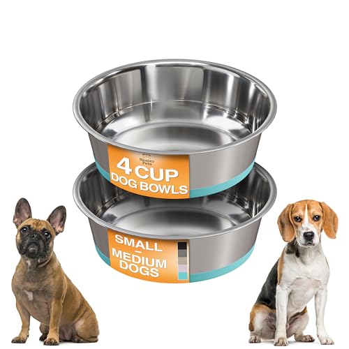 Neater Pet Brands Stainless Steel Dog Bowls with Non-Slip Rubber Bottom – Set of 2, 4 Cup (32 oz), Teal - Heavy Duty Metal Dog Bowl, Dishwasher Safe, Food or Water Bowl, Ideal for Medium Dogs - color: Teal, size: 4 Cup (Set of 2)