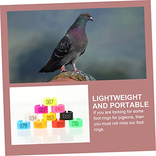 UKCOCO 100pcs Pigeon Anklet Chicken Coop for Chickens Feeders Rooster Chicken Ring Plate Chick Grit Plucker Pigeon Supplies Bird Feeder Quail Leg Bands Outside Abs Colorful