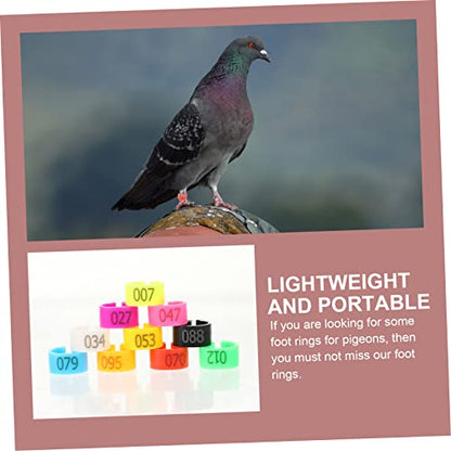 UKCOCO 100pcs Pigeon Anklet Chicken Coop for Chickens Feeders Rooster Chicken Ring Plate Chick Grit Plucker Pigeon Supplies Bird Feeder Quail Leg Bands Outside Abs Colorful