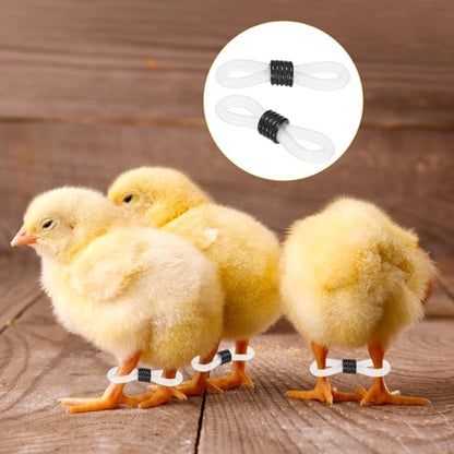 M METERXITY 50-Pack Adjustable Chick Leg Bands, 0.79" x 0.2" Silicone Chicken Leg Brace for Chicks/Ducks/Birds [Black] Poultry Leg Bands