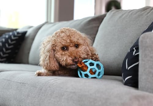 JW Pet HOL-ee Roller™, Dog Toy Puzzle Ball, Natural Rubber, Medium (4.5” Inch Diameter), Blue - color: Blue, size: 4.5 Inch