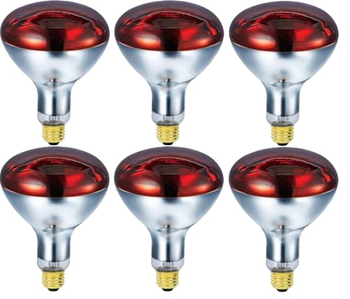 250 Watts R40 Red Heat Lamps Outdoor Bulbs for Pets Flood Light Bulb for Chickens Infrared Reflector 250W R40 Incandescent Medium E26 Base 6 Pack - style: 250W/R40/RED/2PK/S