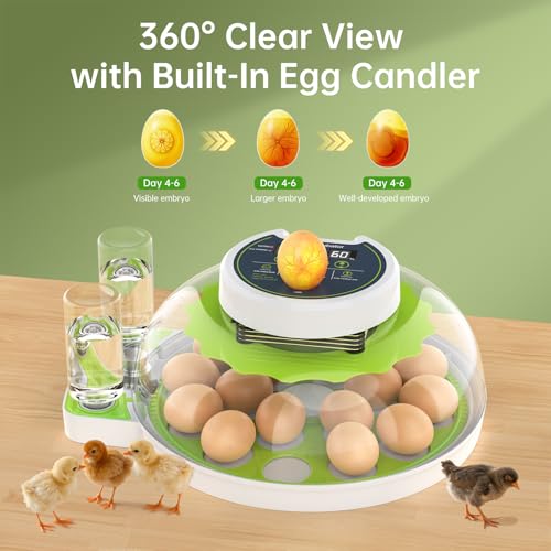 8 Egg Incubator with Automatic Egg Turning, Temperature & Humidity Control, Egg Candler, Mini Digital Incubator for Hatching Chicken Duck Quail Goose Bird – Home & Classroom Use - size: 8 Egg