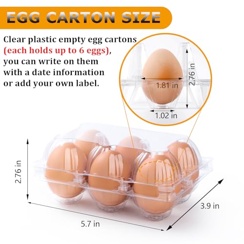180 Pack Egg Cartons 6 Count, Clear Plastic Egg Cartons Cheap Bulk for Chicken Eggs, Reusable Egg Holder Container for Family, Chicken Farm and Markets, Medium - size: 180P2×3