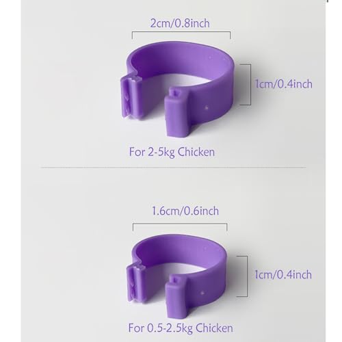 100Pcs Chicken Leg Rings - Colorful Readable Numbered Chicken Identification Leg Bands, Poultry Leg Bands Clip on Leg Rings for Ducks Chicks Chicken Guinea Pigeons Goose Gamefowl (16mm/0.6inch) - size: 16mm/0.6inch