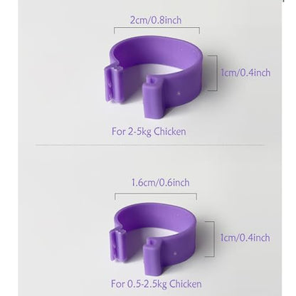 100Pcs Chicken Leg Rings - Colorful Readable Numbered Chicken Identification Leg Bands, Poultry Leg Bands Clip on Leg Rings for Ducks Chicks Chicken Guinea Pigeons Goose Gamefowl (20mm/0.8inch) - size: 20mm/0.8inch