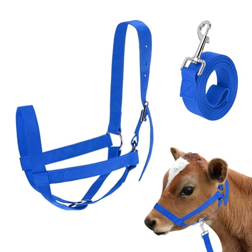 M METERXITY 1-Pack Adjustable Cattle Cow Calf Halter, 18.9"-23.23" Nylon Livestock Cow Halter with Leading Rope for Miniature Horse/Donkey/Goat/Cattle [Blue] - color: Blue, size: 18.9"-23.23"