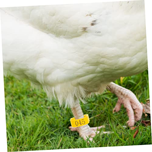 Kisangel 100pcs Adjustable Chicken Leg Bands Numbered Poultry Identification Rings for Easy Chick and Bird Identification Lightweight and Safe Material for Pigeons and Poultry Use - color: Yellow