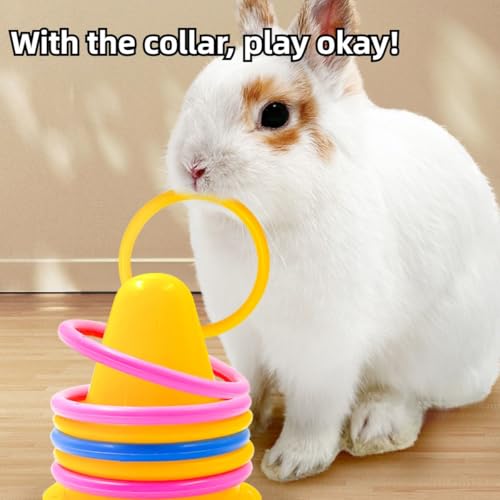 Rabbit Training Rings Toy Interactive Educational Stacking Rings 5 Random Colors Puzzle Toys for Small Animal Bird Kitten Ferret Guinea Pig Squirrel (Red) - color: Red