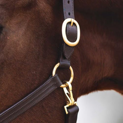 Country Pride Fairfield Triple Stitched Leather Halter - size: Horse