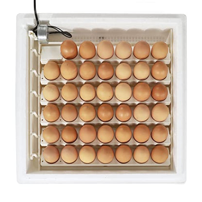 Farm Innovators 3200 Automatic 41 Spot Egg Turner for the Bottom of Incubators to Eliminate Manual Handling and Improve Hatching Rate, White (2 Pack) - size: 2 Pack