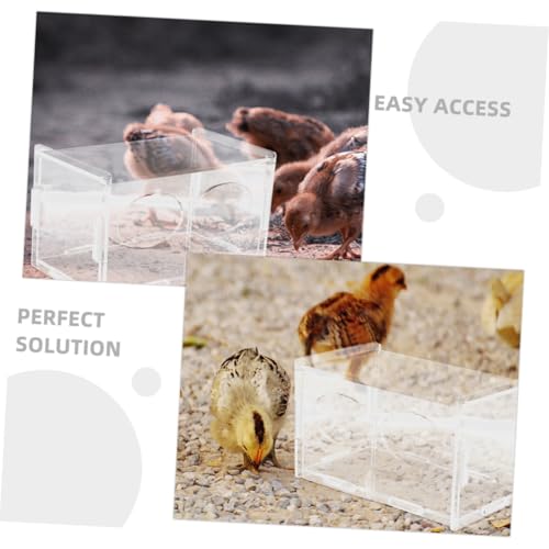 Toddmomy 3pcs Rutin Chicken Feeder and Water Bowl Automatic Poultry Dispenser for Healthy Feeding Design for Backyard Farmers and Hobbyists
