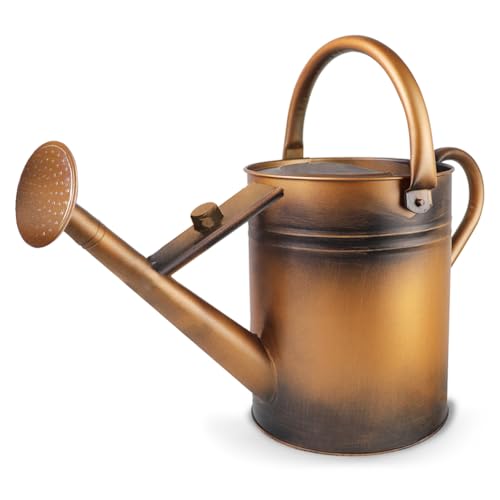 1 Gallon Metal Watering Can with Removable Spout, Nice Galvanized Steel Water Can for Indoor and Outdoor Plants (House Plants) - color: Bronze