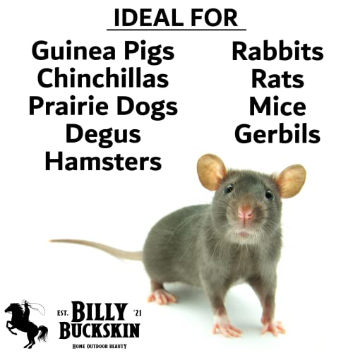 Chinchilla Chew Toys, Pumice Chew Blocks, Lava Block for Hamster, Rat, Mice, Degus, Gerbils, Small Animal Toys, Guinea Pigs, Rabbit Toy, Bunny Toy by Billy Buckskin (Pack of 6)Mined in USA