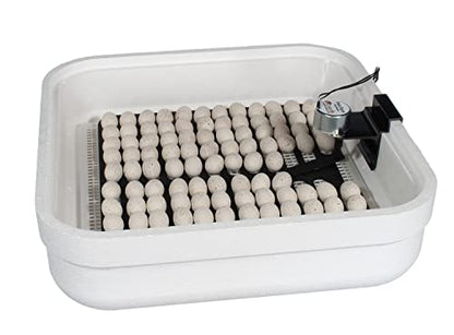 HovaBator Genesis Starter Combo Kit, Egg Incubator, Turner,Quail Tray,Guide - size: Starter Combo Kit + Quail Tray