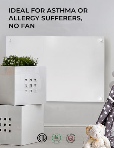 EconoHome Wall Mount Space Heater Panel - with Thermostat - 600 Watt Convection Heater - Ideal for 200 Sq Ft Room - 120V Electric Heater - Updated Model - color: White, size: 600Ws