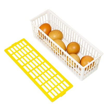 Hatching Time Egg Hatching Basket, Fits Hatching Time CT Series Incubators, Divided Hatch Outs, Separate Breeds When Hatching, Fits 6 Chicken Eggs, Fits Any Egg Size - style: 6 Chicken Eggs