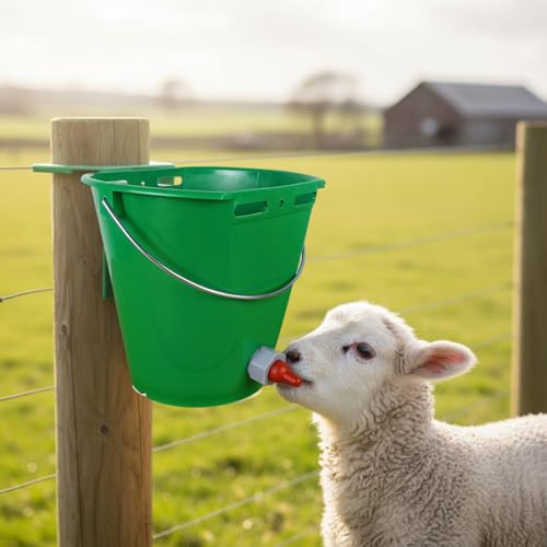 Feed Bucket, 8L Large Capacity Livestock Milk Goat Feeder with Nipple, Green Sheep Feeder & Baby Bottle Bucket for Calves, Lambs, and Kids, 1 Mouth - color: 1 Mouth