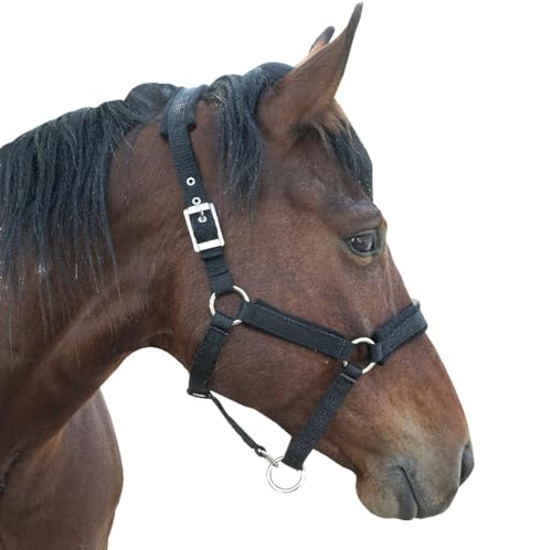 Adjustable Horse Halter with Polar Fleece Lined, Rope Halters, Equestrian Horse Riding Headcollar with Satin Hardware, Prevents Rubs, Adjustable Fit,Great for Trailering & Shows - color: Black, size: X-Large