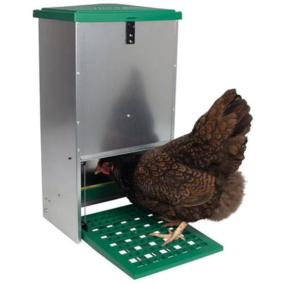 Hatching Time 44 lb Treadle Poultry Feeder – Heavy-Duty Chicken Feeder with Weight-Activated Pedal – Galvanized, Rodent-Resistant, Outdoor Use – Ideal for Medium to Large Backyard Flocks - size: 44 Pound