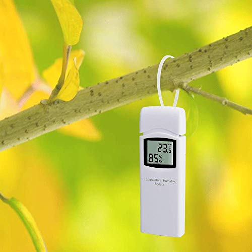 Ecowitt WN32(WH32) Wireless Outdoor Temperature and Humidity Sensor, Thermometer and Hygrometer Gauge with LCD Display, Default Degree Fahrenheit, Remote App Monitoring