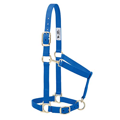 Weaver Leather Nylon Horse Halter, Padded and Adjustable, Chin and Throat Snap Hook Halters for Horses, Brass Plated Halters for Training - color: Blue, size: 1" Small Horse