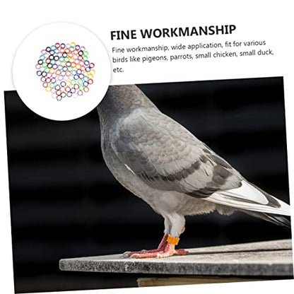 FOMIYES 900pcs Mixed Color Poultry Foot for Birds Chickens and Pigeons Lightweight Leg Bands for Easy Identification and Management