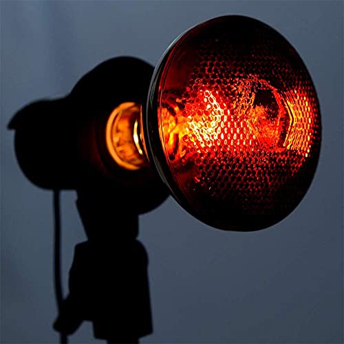 2 Pack 250W Red Heat Lamp Infrared Bulbs PAR38 Glass Lamp Bulb for Food Service, Brooder Bulb, Chicks, Pet, Bathroom, Light Therapy Use E26 Base, Flood Light Heat Lamp. - size: STD-250W
