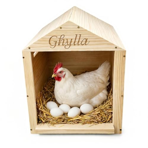 Chicken Nesting Box for Laying Eggs, Extra Large Wooden Hen Box, Solid Pine, Spacious & Comfortable, Ventilated Design, Easy Assembly, Wall or Ground Use