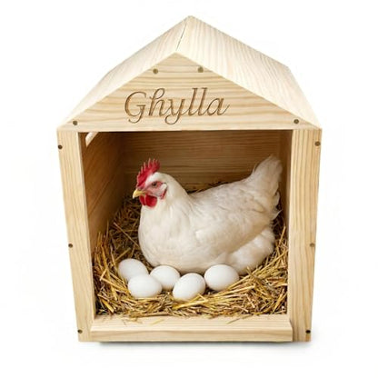 Chicken Nesting Box for Laying Eggs, Extra Large Wooden Hen Box, Solid Pine, Spacious & Comfortable, Ventilated Design, Easy Assembly, Wall or Ground Use