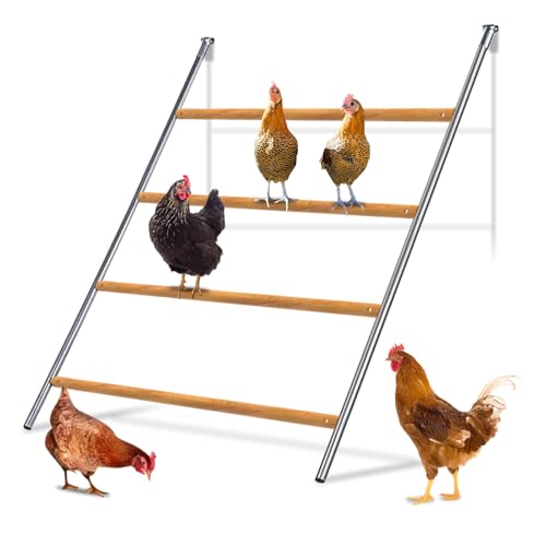 Chicken Perch，Chicken Roost, Chicken Roosting Bars, Roosting Bars for Chickens in Coop, Chicken Toys for Coop, Chicken Coop Accessories (55.1" L x 41.5" W)