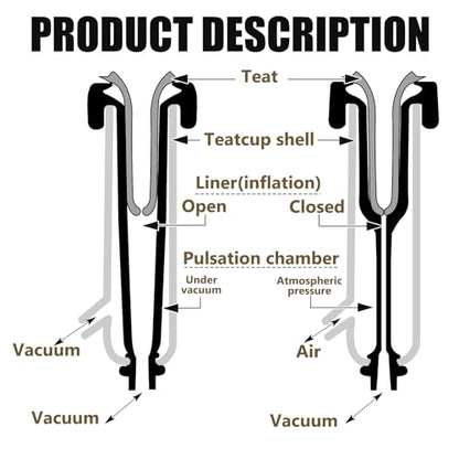 Threlaco Milking Machine Accessory Cow Teat Cup, Double Cup with Tube for Cow, Sheep, Camels, Farm Tool(Stainless Steel)