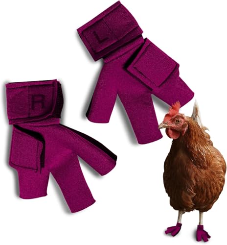 Chicken Shoes for Injured Feet – Protective Neoprene Footwear for Chicken, Open-Toe Design for Bumblefoot Relief, Made in USA (Chicken Shoes, Pink, Medium Chickens) - color: Pink
