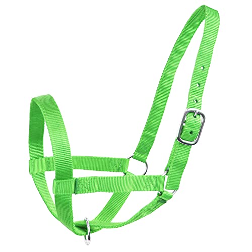 Derby Originals Adjustable Nylon Livestock Cattle Halters - color: Lime Green, size: Large (800-1400lbs)