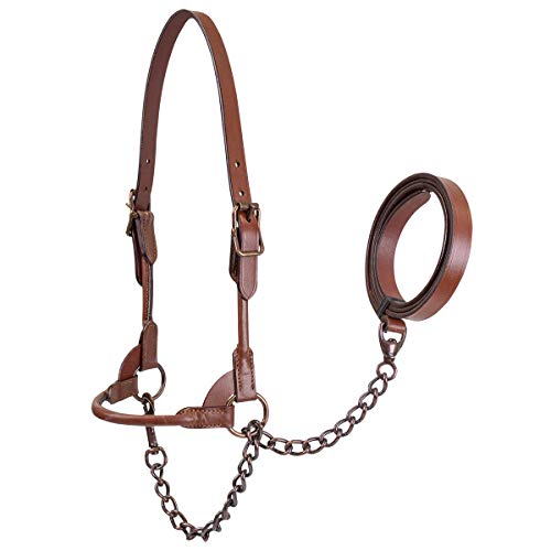 Derby Originals Bronze Beauty Premium Round Rolled Leather Cattle Show Halter with Matching Chain Lead - color: Black, size: Medium (650-1050lbs)