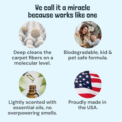 Sunny & Honey Carpet Cleaner Shampoo Solution for Machines, 32floz Mint | USA Made - Stain and Odor Eliminator - Cleans Carpets and Upholstery - For Upright and Spot Cleaners - Concentrated Formula - size: 32 Fl Oz (Pack of 1)