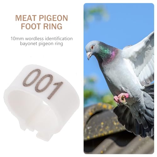 Happyyami 100pcs Pigeon Foot Bands Leg for Bird Identification Design for Racing Pigeons Parakeets and More - color: White