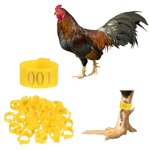M METERXITY 50-Pack Chicken Leg Bands, 16 mm Plastic Poultry Identification Chicken Leg Rings for Turkey/Duck/Goose/Chicks, Colorful Numbered Foot Clip on Tags [Yellow] - color: Yellow, size: 16 mm