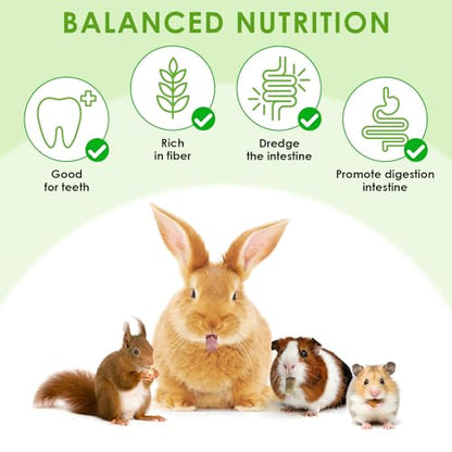 ERKOON 38Pcs Rabbit Chew Toys Timothy Hay Sticks, Guinea Pig Toys for Teeth Natural Molar Sticks Rabbits Treats for Bunnies, Chinchilla, Guinea Pigs, Gerbil, Hamster - size: 10 Ounce (Pack of 1)