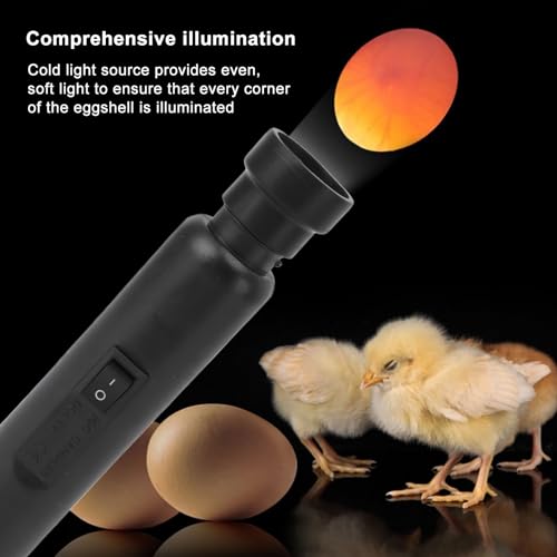 LED Light Egg Candler Tester, Rechargeable LED Light Candling Lamp, Portable Multifunctional Egg Hatching Tester for Inspecting Development