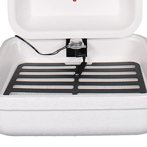 HovaBator Genesis Starter Combo Kit, Egg Incubator, Turner,HumidiKit, Guide - size: Starter Combo Kit + HumidiKit