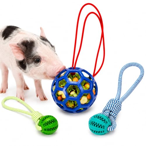 Ronyes 3Pcs Pig Enrichment Toys, Treat Dispenser Ball Toys for Mini Pigs and Farm, Hanging Chew Food Foraging Ball with Rope for Pigs, Pig Toys for Pet Pig