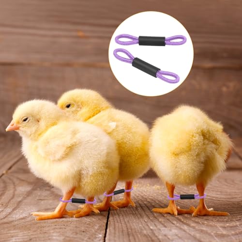 M METERXITY 100-Pack Adjustable Chick Leg Bands, 1.38" x 0.2" Polyester Chicken Leg Brace for Chicks/Ducks/Birds [Purple] Poultry Leg Bands